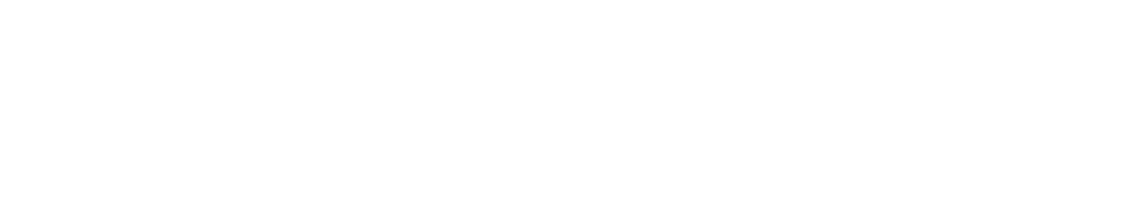 SeeYing logo